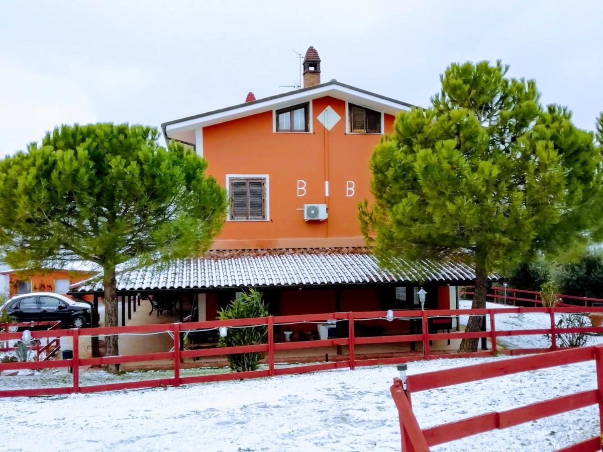 B&B Gli Amici Del Tubarello Roseto Degli Abruzzi Dış mekan fotoğraf