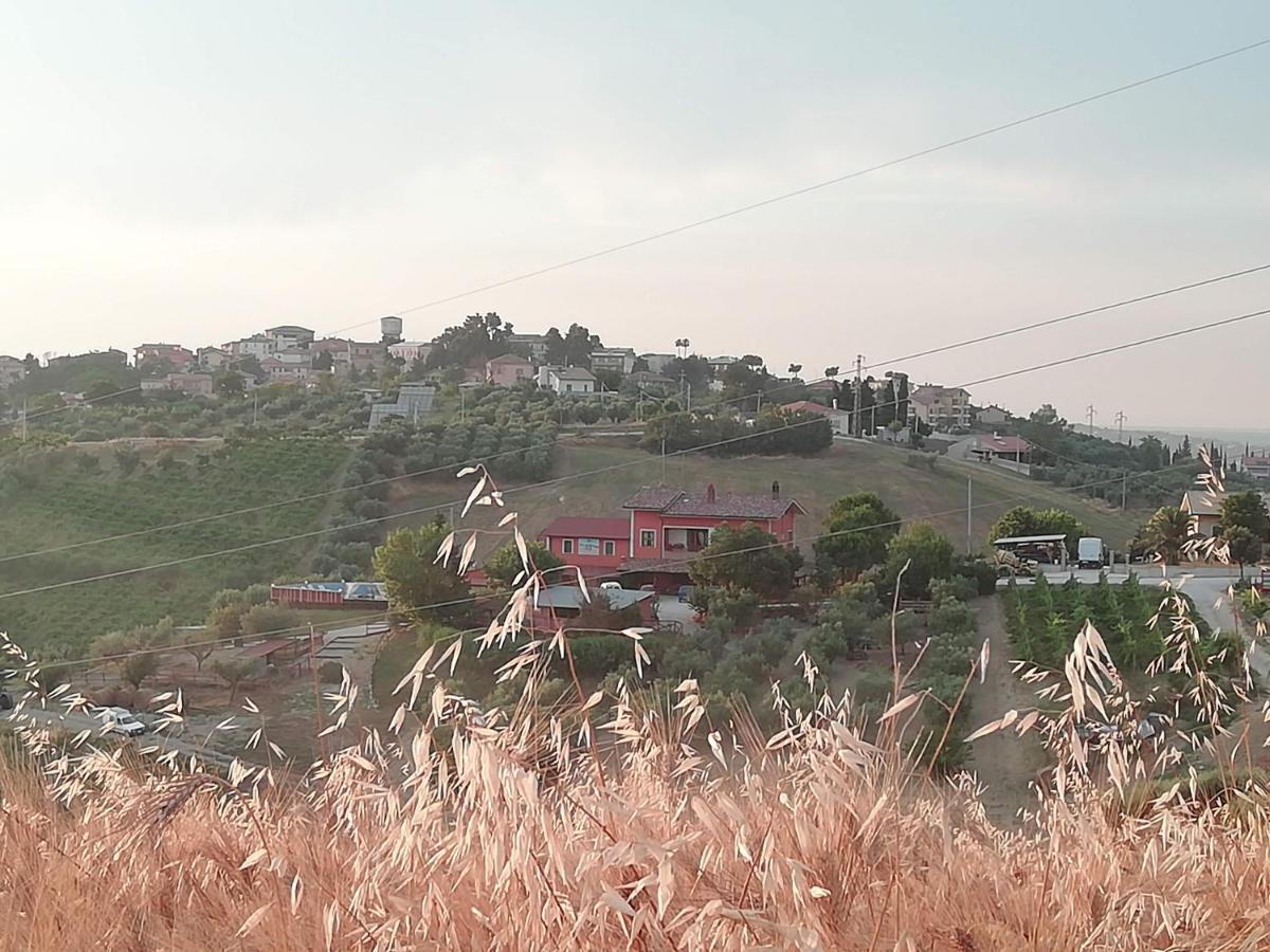 B&B Gli Amici Del Tubarello Roseto Degli Abruzzi Dış mekan fotoğraf