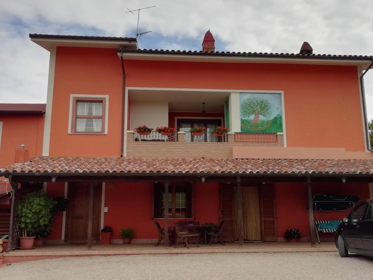 B&B Gli Amici Del Tubarello Roseto Degli Abruzzi Dış mekan fotoğraf