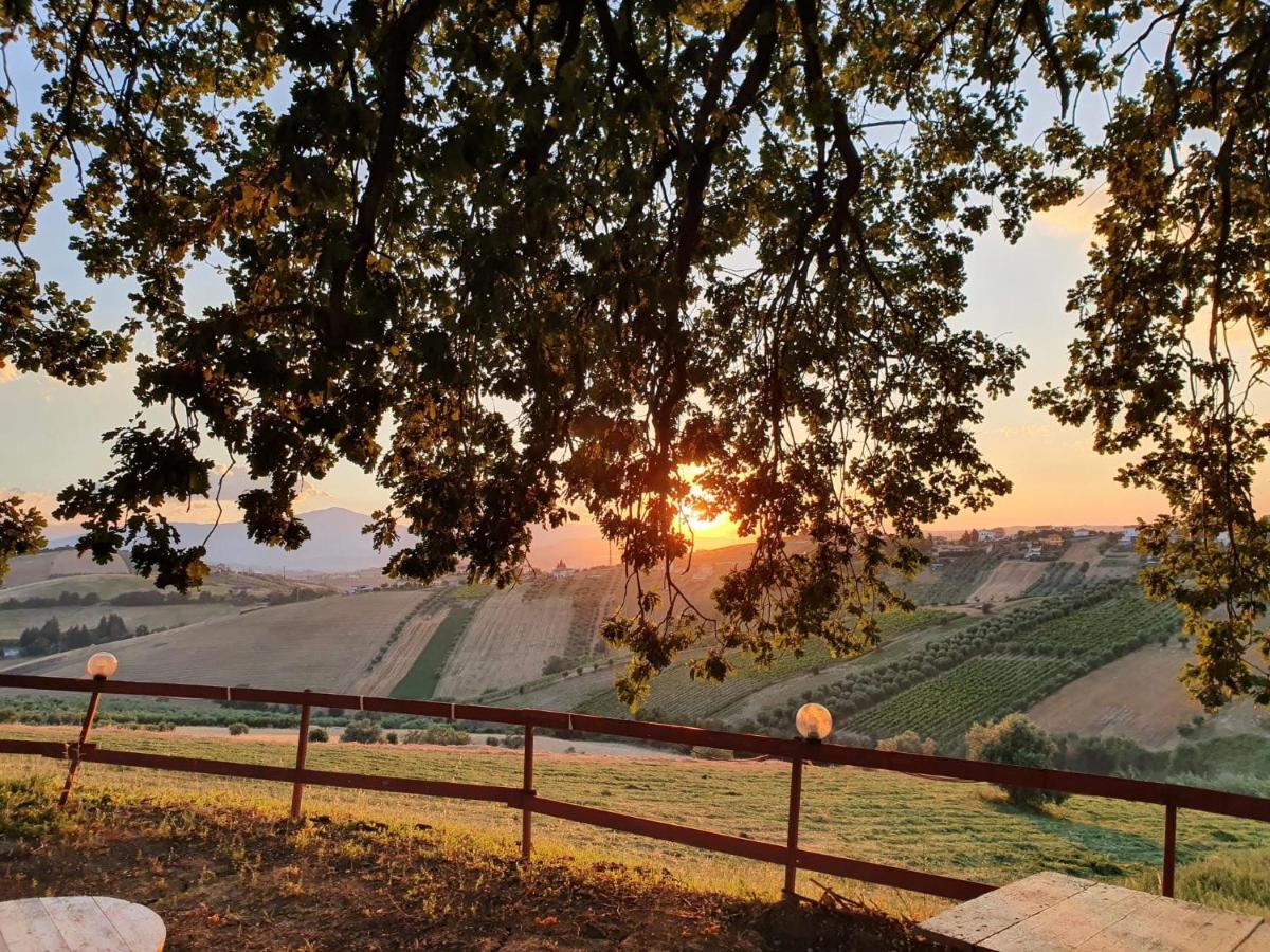 B&B Gli Amici Del Tubarello Roseto Degli Abruzzi Dış mekan fotoğraf