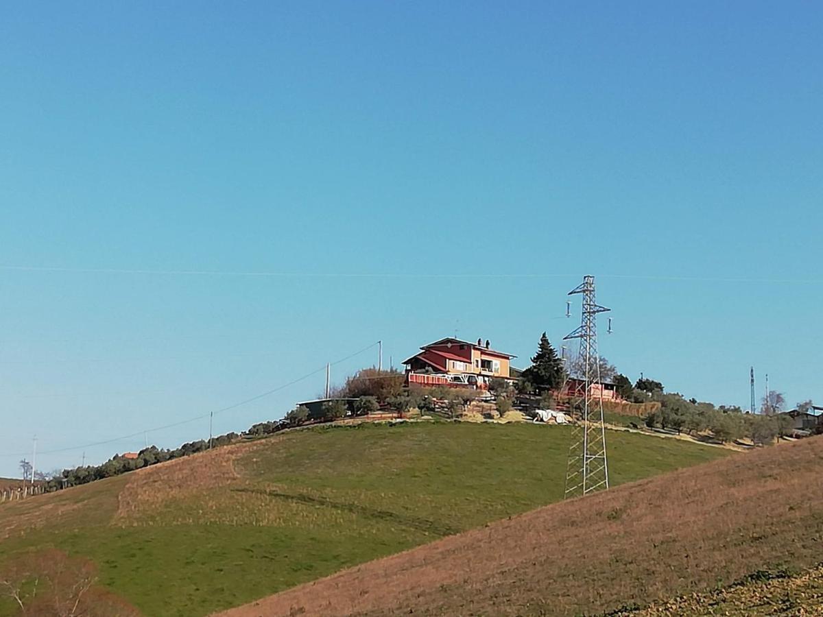 B&B Gli Amici Del Tubarello Roseto Degli Abruzzi Dış mekan fotoğraf