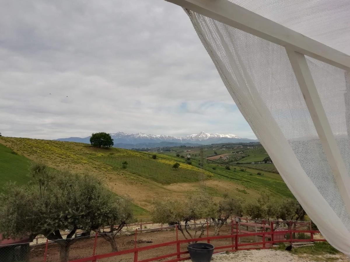 B&B Gli Amici Del Tubarello Roseto Degli Abruzzi Dış mekan fotoğraf