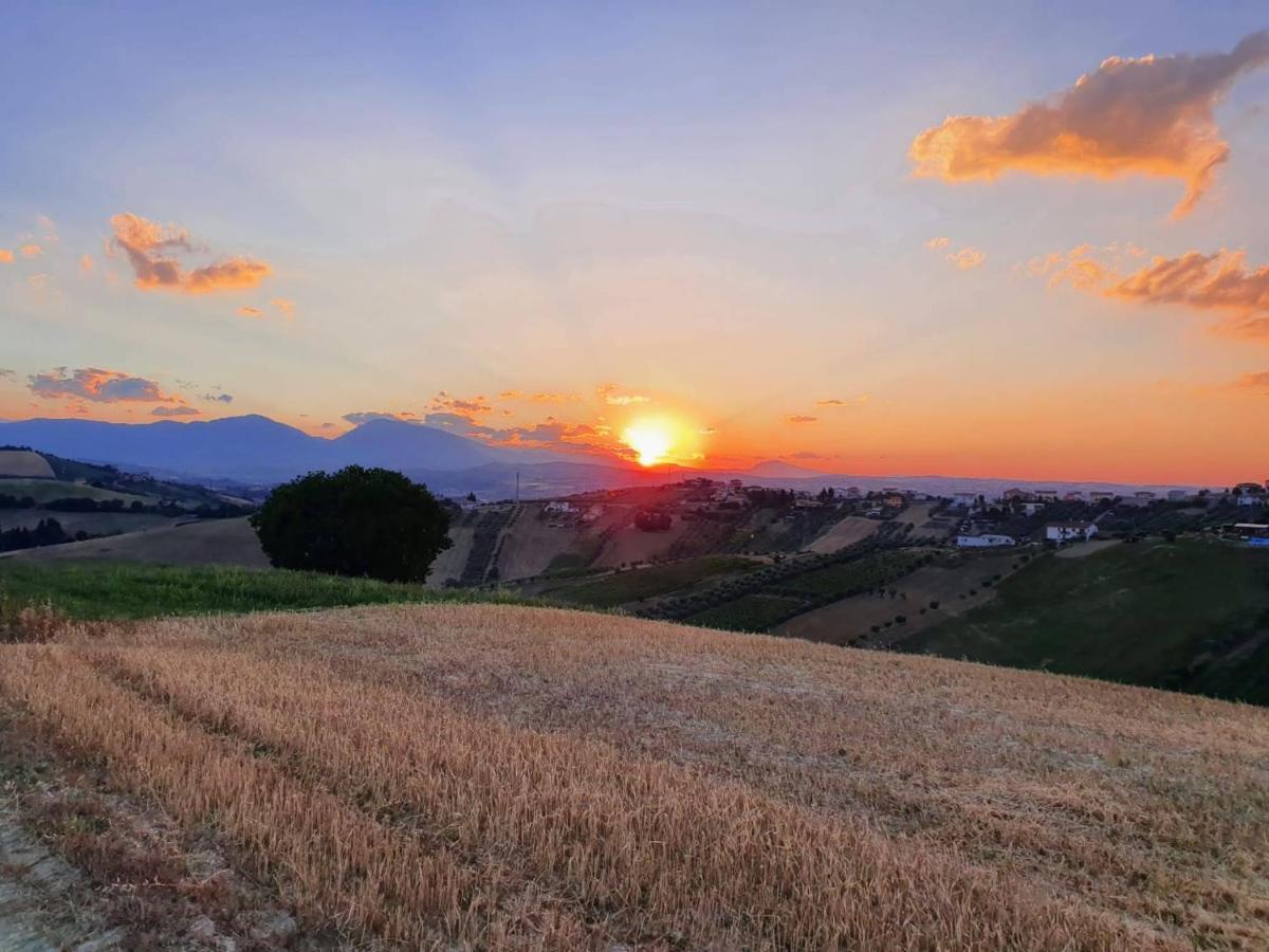B&B Gli Amici Del Tubarello Roseto Degli Abruzzi Dış mekan fotoğraf