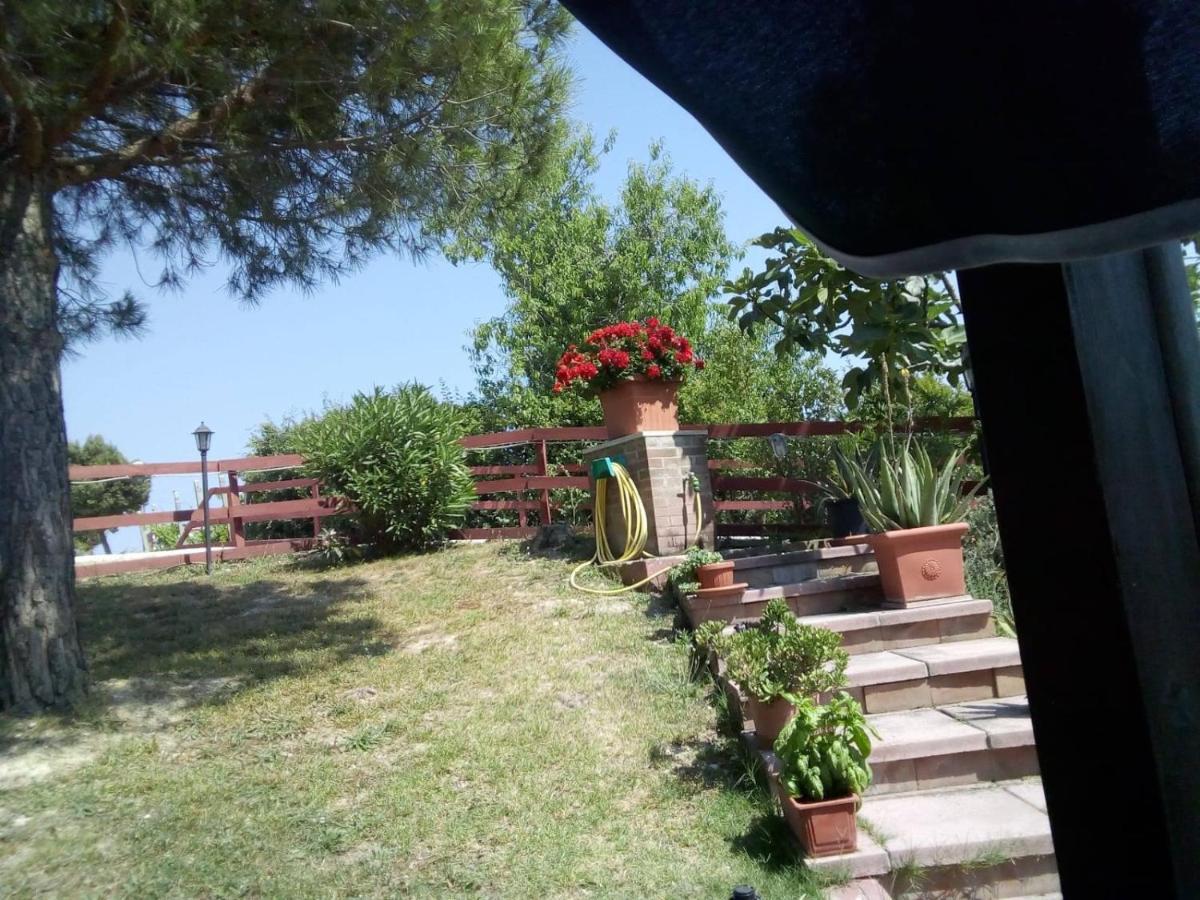 B&B Gli Amici Del Tubarello Roseto Degli Abruzzi Dış mekan fotoğraf