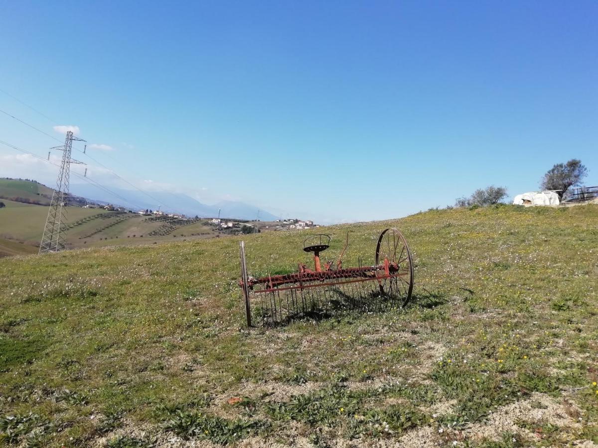 B&B Gli Amici Del Tubarello Roseto Degli Abruzzi Dış mekan fotoğraf