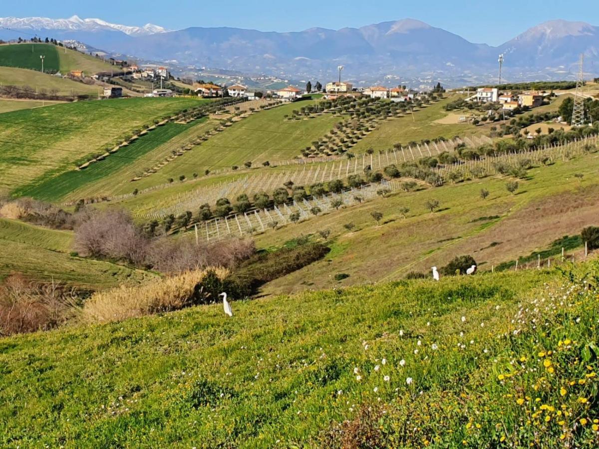 B&B Gli Amici Del Tubarello Roseto Degli Abruzzi Dış mekan fotoğraf