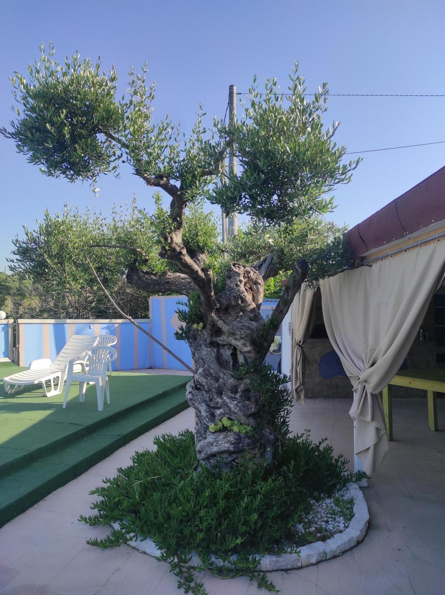 B&B Gli Amici Del Tubarello Roseto Degli Abruzzi Dış mekan fotoğraf