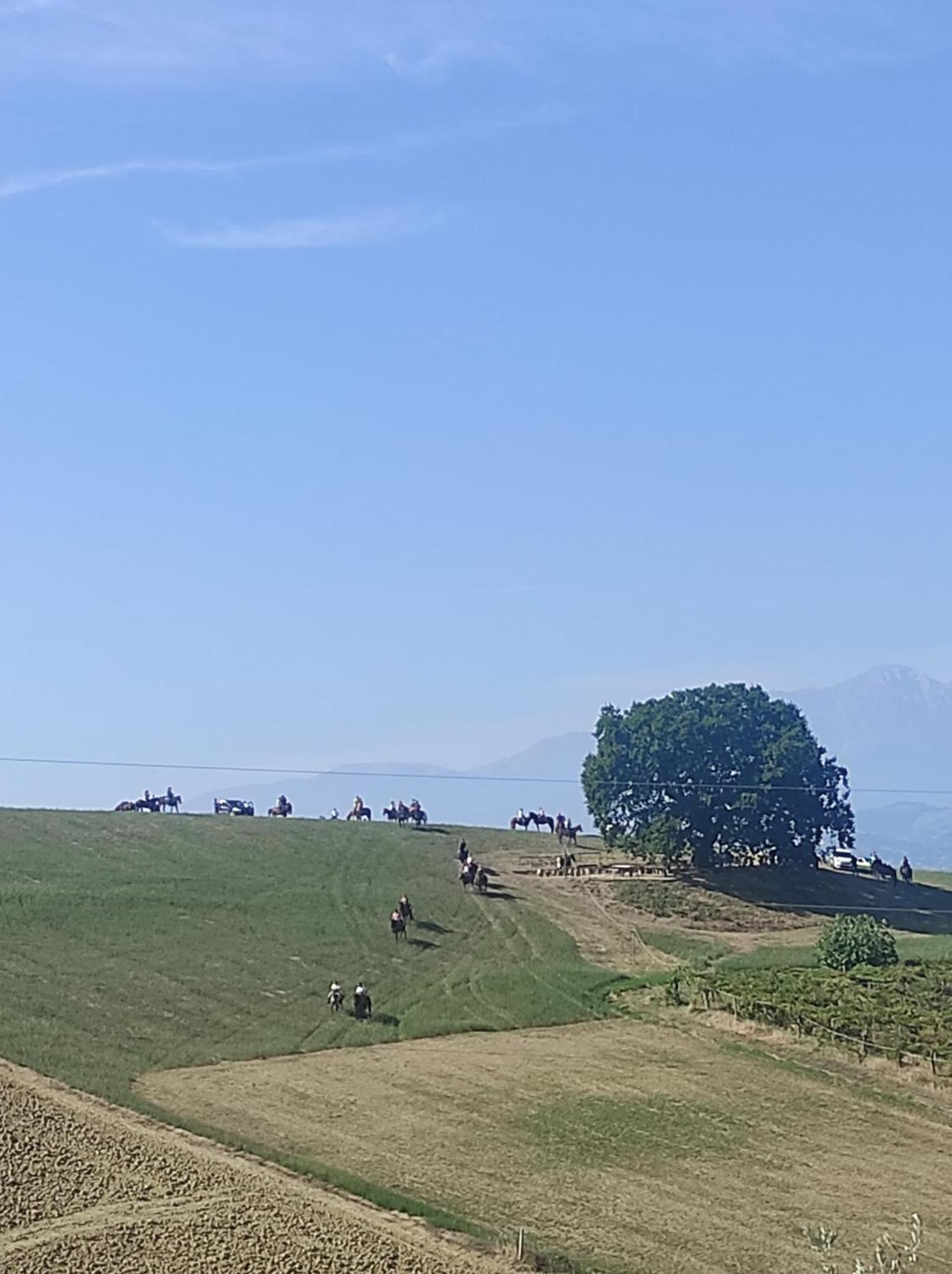 B&B Gli Amici Del Tubarello Roseto Degli Abruzzi Dış mekan fotoğraf