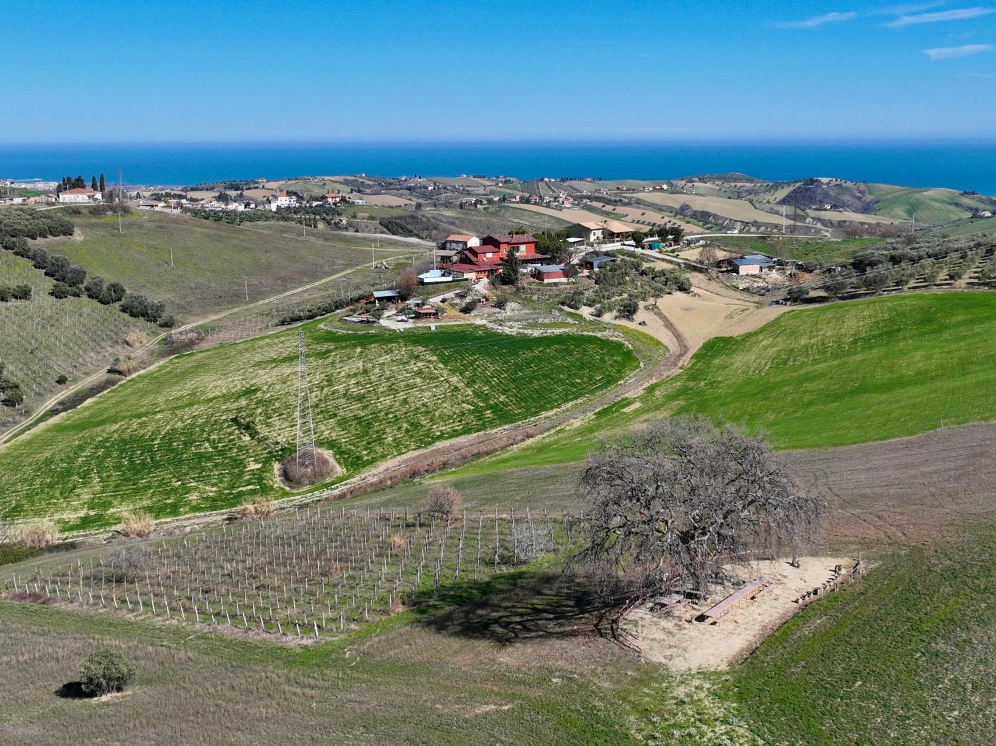 B&B Gli Amici Del Tubarello Roseto Degli Abruzzi Dış mekan fotoğraf