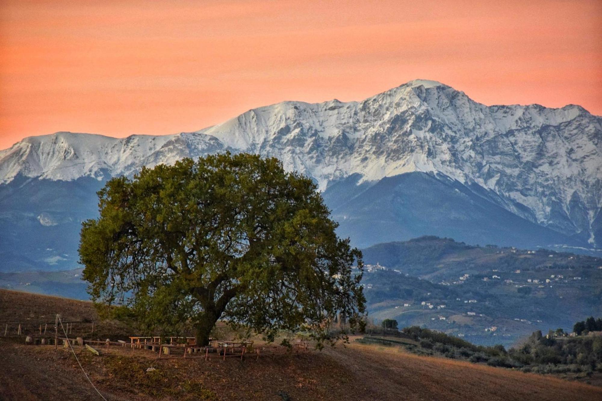 B&B Gli Amici Del Tubarello Roseto Degli Abruzzi Dış mekan fotoğraf